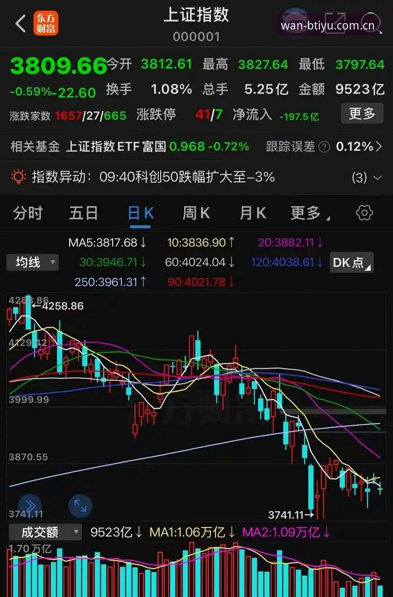 3个关键信号，看懂b体育中国官网为何能站稳竞技主场